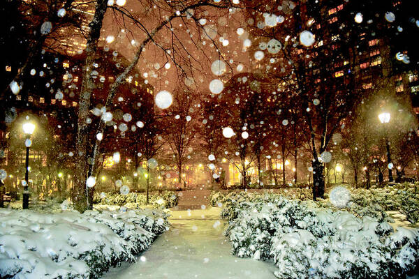 Bokeh Poster featuring the photograph Snowfall New York by Debra Banks