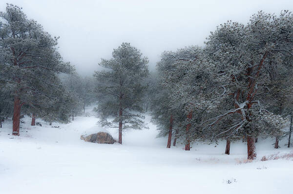 Colorado Poster featuring the photograph Snowy Morning - 0622 by Jerry Owens
