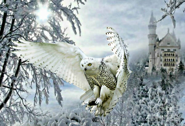 Snowy Owl Poster featuring the mixed media Snowy Owl by Morag Bates