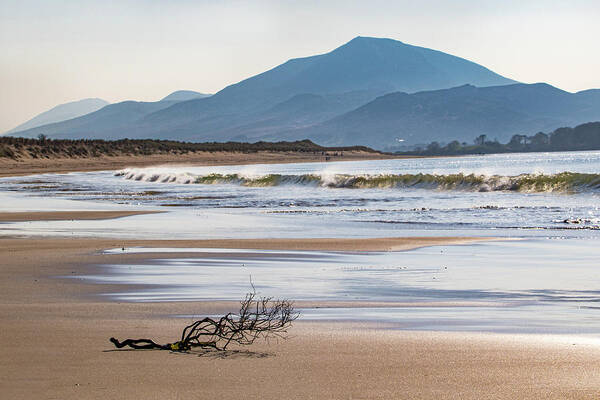 Donegal Poster featuring the photograph Solitude by John Soffe