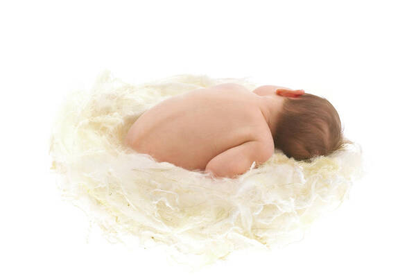 Soft Poster featuring the photograph Sophie in a Soft Nest by Anne Geddes