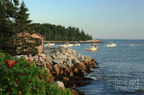 Boats Poster featuring the photograph South Thomaston, Maine by Kevin Shields