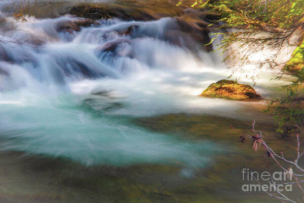 Water Poster featuring the photograph Spring Bliss by Janie Johnson