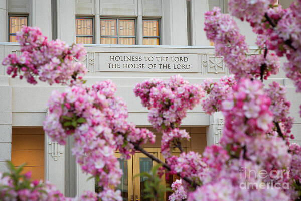 Blossom Poster featuring the photograph Spring Blossoms - Meridian Idaho Temple by Bret Barton