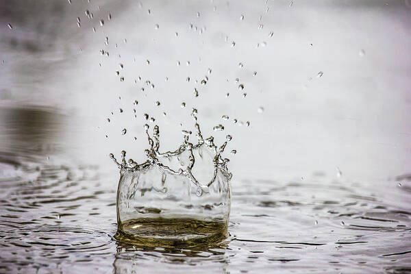 Water Poster featuring the photograph Spring Splash by Penny Meyers