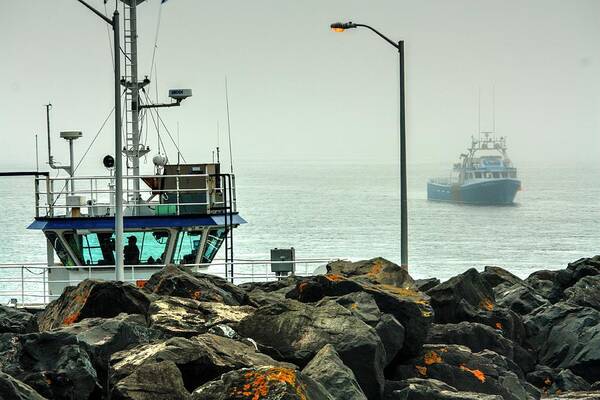 Foggy Lighthouse Boars Head Tiverton Nova Scotia Canada Sea Ocean Bay Of Fundy Trees Mist Fog Petit Passage Passage Provider Poster featuring the photograph Stand Off by David Matthews