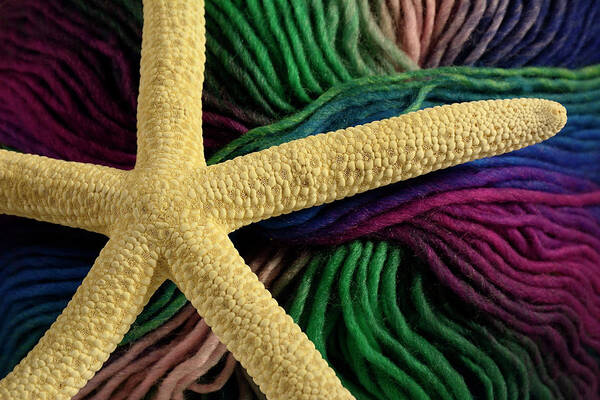 Ocean Poster featuring the photograph Starfish on Yarn by Angie Tirado