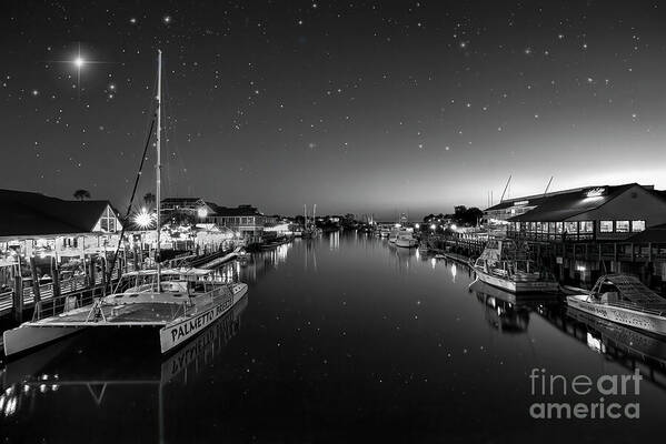 Shem Creek Poster featuring the photograph Starry Night on Shem Creek by Shelia Hunt