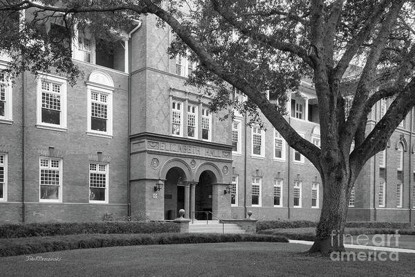 Stetson University Poster featuring the photograph Stetson University Elizabeth Hall by University Icons