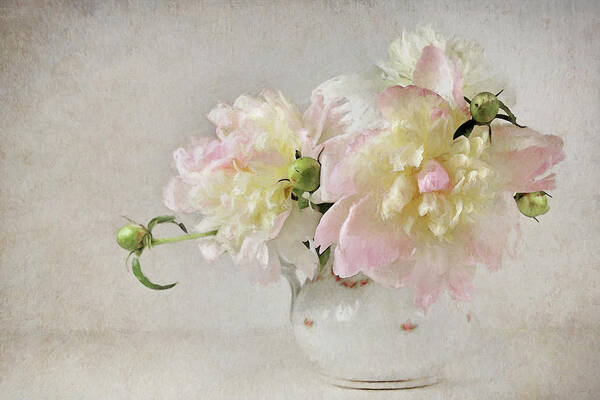 Peony Poster featuring the photograph Still Life With Peonies by Karen Lynch