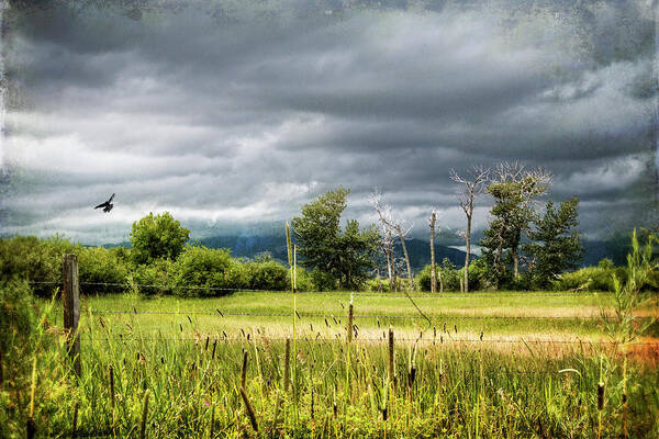 Clouds Poster featuring the photograph Storms Coming by Carmen Kern