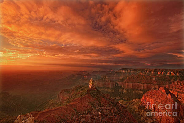 Dave Welling Poster featuring the photograph Sunrise Clouds North Rim Grand Canyon National Park Arizona by Dave Welling