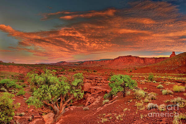 Dave Welling Poster featuring the photograph Sunrise Over Capitol Reef National Park Utah by Dave Welling