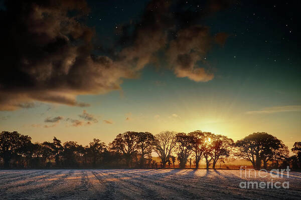 Landscape Poster featuring the photograph Sunrise over frosty fields in Norfolk by Simon Bratt