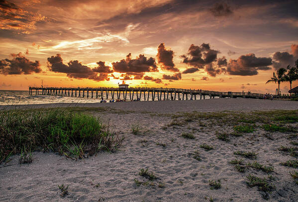 Venice Florida Poster featuring the photograph Sunset at the Venice Pier by Gordon Ripley