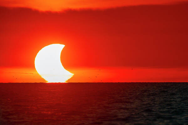 Solar Eclipse Poster featuring the photograph Sunset Eclipse by Timothy McIntyre