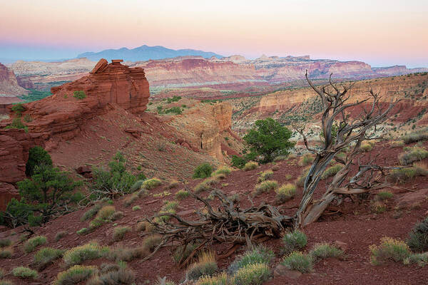 Utah Poster featuring the photograph Sunset on Capitol Reef by Aaron Spong