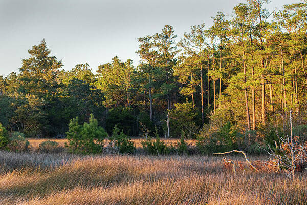 Sunset Poster featuring the photograph Sunset on Core Creek Marsh in North Carolina by Bob Decker