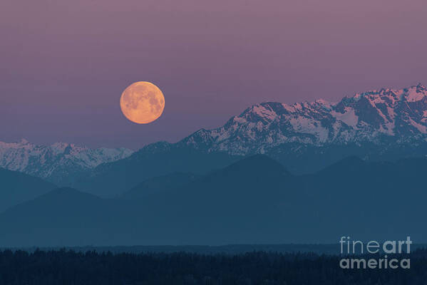 Olympic Mountains Poster featuring the photograph Supermoon and Olympic Mountains on Spring Equinox March 20, 2019 by Nancy Gleason