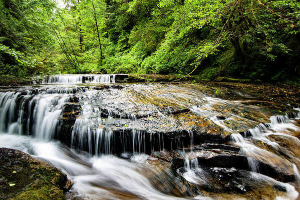 Water Poster featuring the photograph Sweet Creek Falls by Mike Shaw