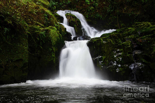 Sweet Creek Poster featuring the photograph Sweet Creek Waterfall by Bob Christopher