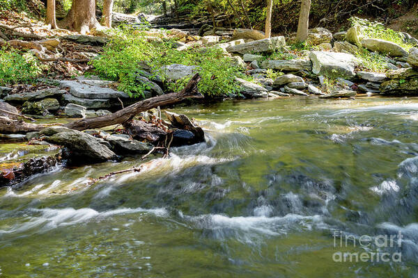 Creek Poster featuring the photograph Tanyard Creek Rushing Water by Jennifer White