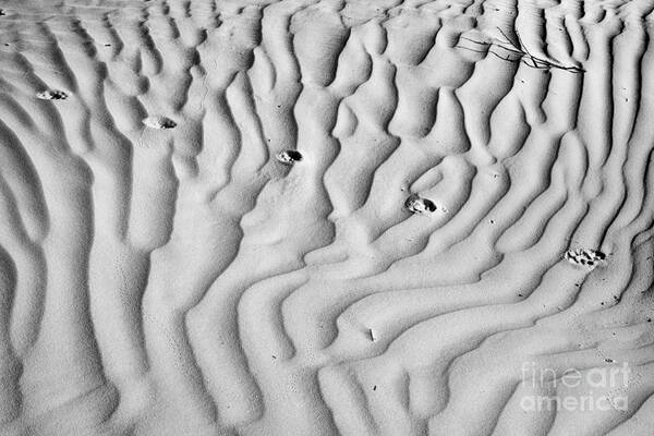 Guadalupe Poster featuring the photograph Texas Sand Ripples Black And White by Adam Jewell