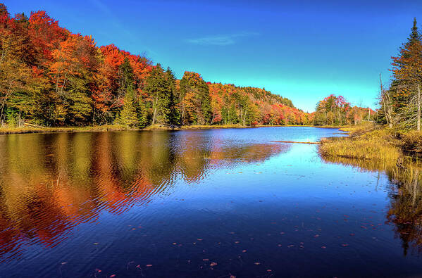 The Beauty Of Bald Mountain Pond Poster featuring the photograph The Beauty of Bald Mountain Pond by David Patterson