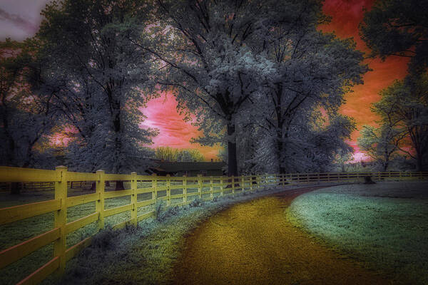 Bergen Equestrian Center Poster featuring the photograph The Enchanted Forest by Penny Polakoff