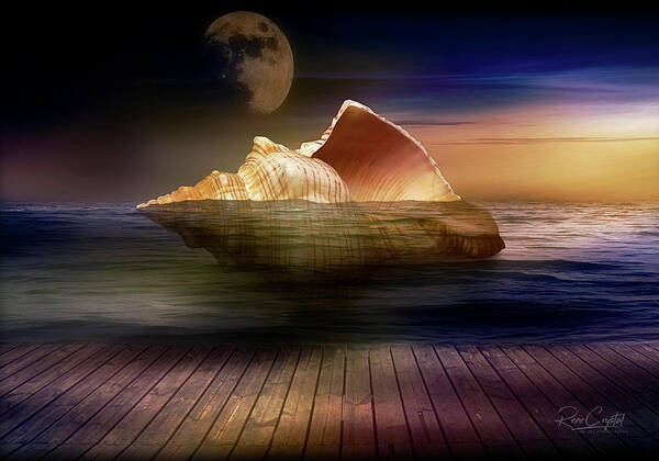 Seashells Poster featuring the photograph The Great Seashell Sailing Ship by Rene Crystal