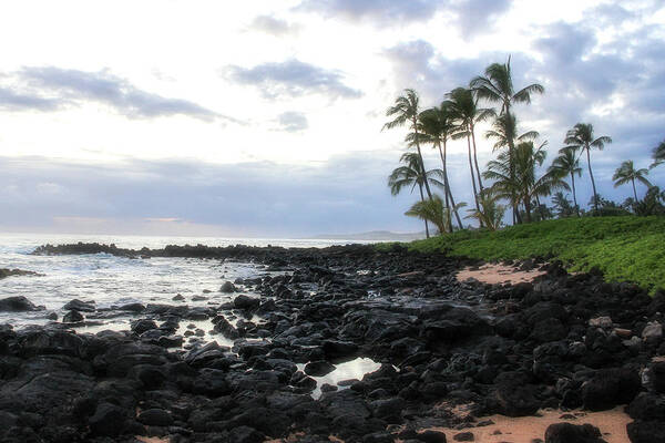 Hawaii Poster featuring the photograph The Grey Sunset by Robert Carter