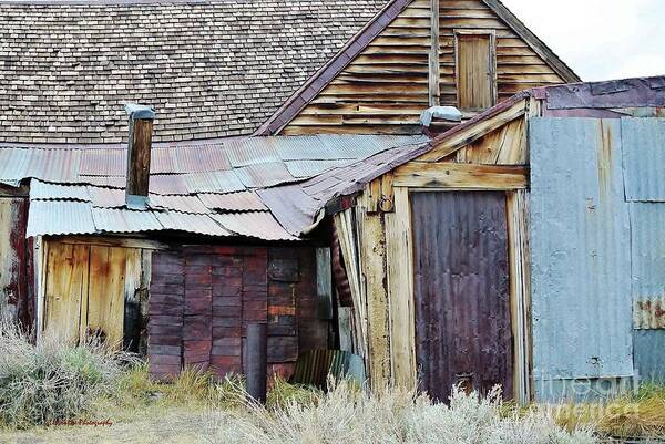 Bodie Forgotten Rust Rusty Abandoned Old Ghost-town Ghost Town Antique Building Buildings Shack Shacks Rusted Tin Tinroof Tin-roof Roof Roofs Door Doors Dusty Miners Mining Poster featuring the photograph The Homestead by Li Newton