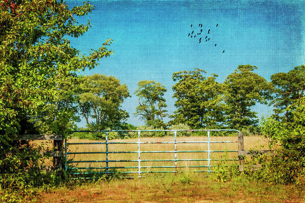 Gate Poster featuring the photograph The Iron Gate 8622 by Cathy Kovarik