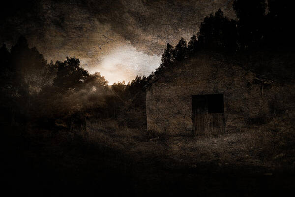 Art Poster featuring the photograph The Old Farm by Paulo Viana