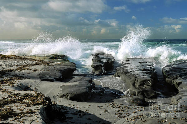 Waterscape Poster featuring the photograph The Morning Tide in La Jolla by Sandra Bronstein