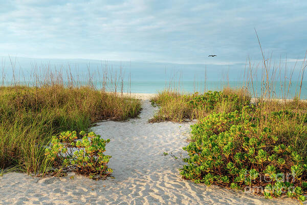 Anna Maria Island Poster featuring the photograph The Most Beautiful Morning at the Beach, Florida by Liesl Walsh