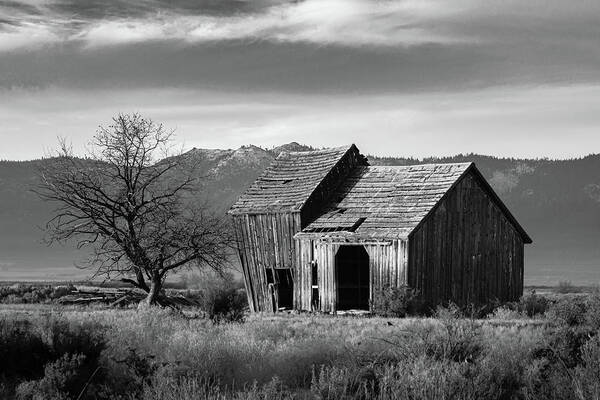 Abandoned Poster featuring the photograph The Old Barn Monochrome by Mike Lee