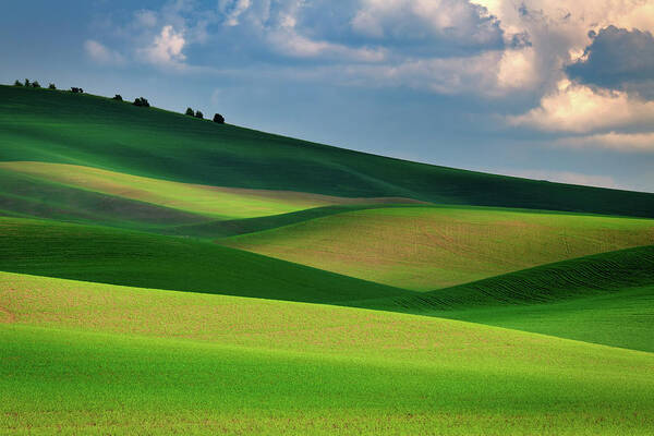 Hill Poster featuring the photograph The Palouse in Light and Shadow by Rick Berk