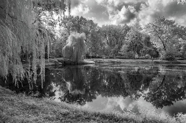 Trees Poster featuring the photograph The Pond at Meisel Avenue Park by Alan Goldberg