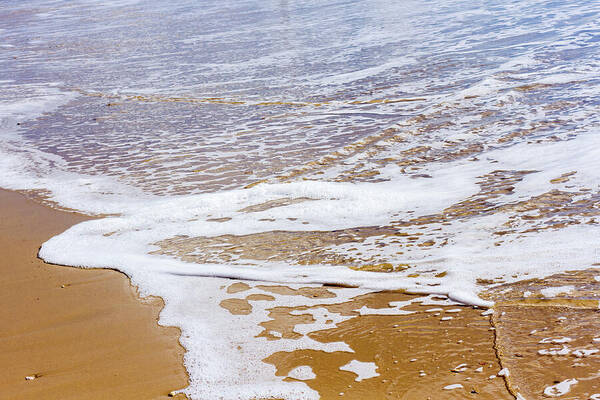 Beach Poster featuring the photograph The Seashore 001 by Tanya C Smith