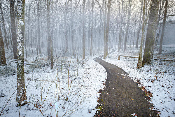Snow Day Poster featuring the photograph The Snowy Path by Jordan Hill