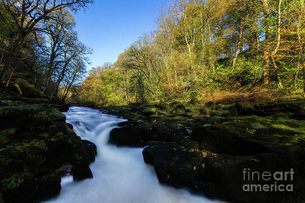 England Poster featuring the photograph The Strid, Wharfedale by Tom Holmes Photography
