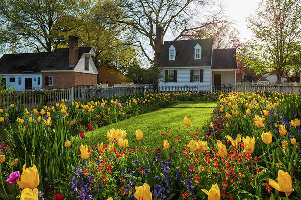 Colonial Williamsburg Poster featuring the photograph The Taliaferro-Cole House Spring Garden by Rachel Morrison