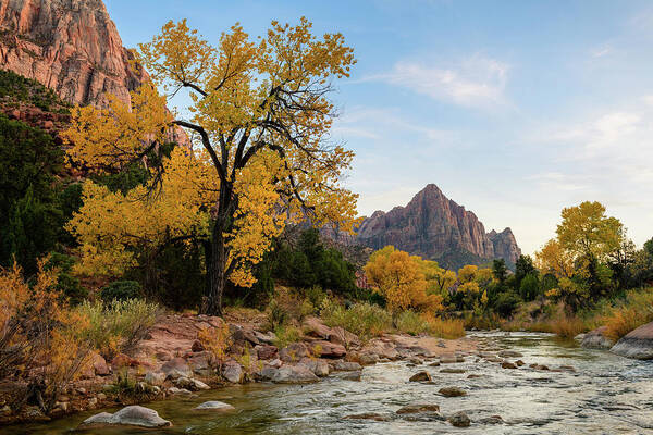 545 Foot Poster featuring the photograph The Watchman by Michael Scott