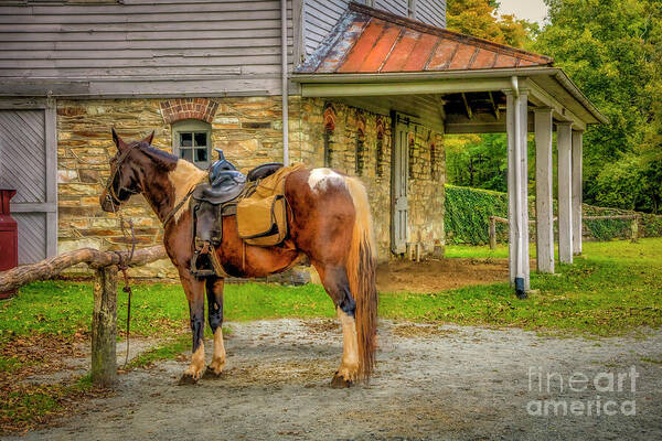 Horse Poster featuring the photograph There's My Ride... by Shelia Hunt