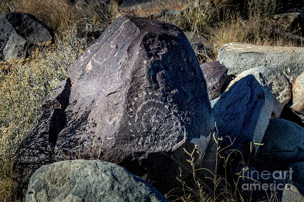 Ancient Poster featuring the photograph Three Rivers Petroglyphs #15 by Blake Webster