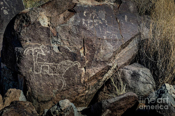Ancient Poster featuring the photograph Three Rivers Petroglyphs #35 by Blake Webster