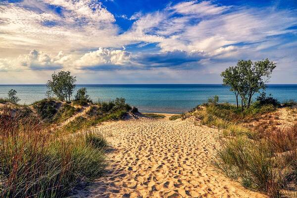Lake Michigan Poster featuring the photograph Through the Dunes to Lake Michigan by Mountain Dreams