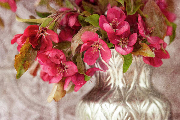 Crabapple Blossom Poster featuring the photograph Timeless Spring by Jill Love