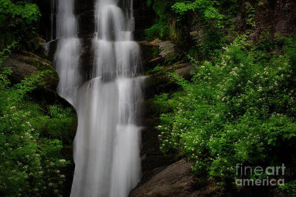 Tom’s Creek Falls Poster featuring the photograph Tom's Creek Falls by Shelia Hunt